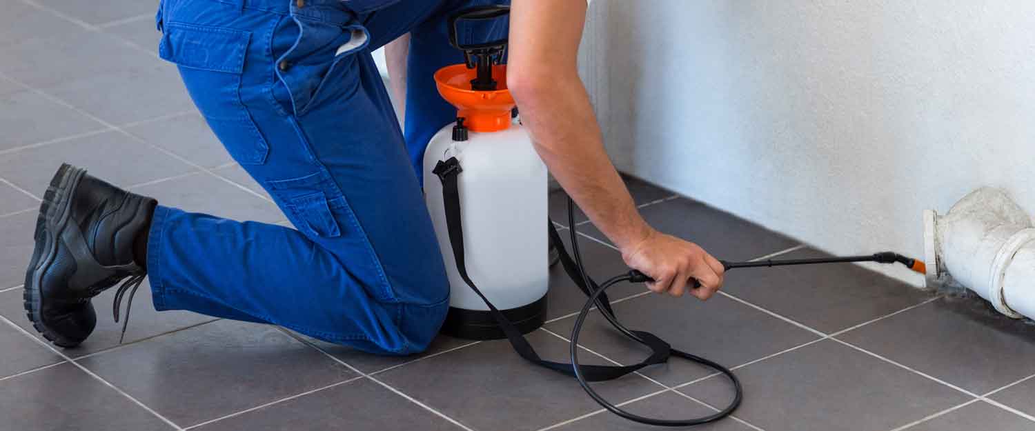 Pest Control Services from Guardian Termite & Pest Control